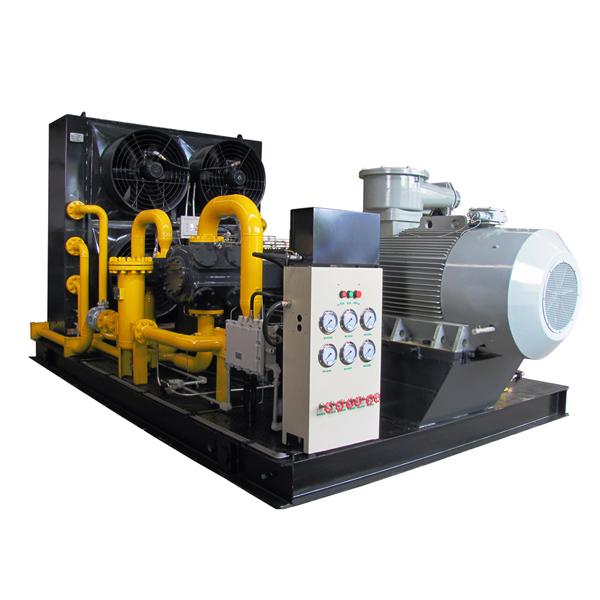 Standard CNG Refuelling Station Compressor